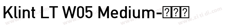 Klint LT W05 Medium字体转换